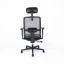 Kancelářská ergonomická židle Office Pro CANTO — více barev - Barevné varianty CANTO: Modrá