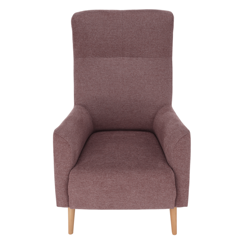 Křeslo ušák SAMY — masiv, látka, více barev