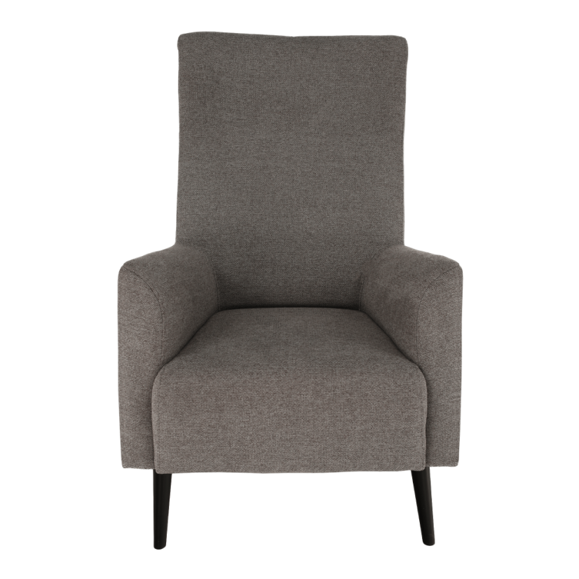 Křeslo ušák SAMY — masiv, látka, více barev