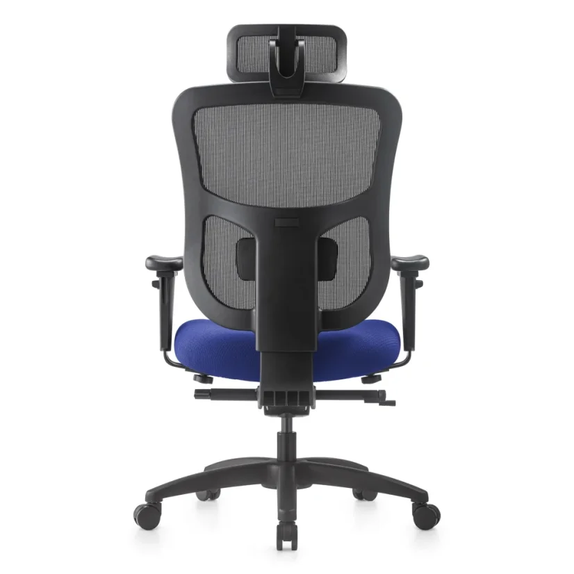 Kancelárska ergonomická stolička NATUS Q24 - sieťovina, nosnosť 180 kg, 3-ročná záruka, viac farieb - Barevné provedení NATUS Q24: modrá