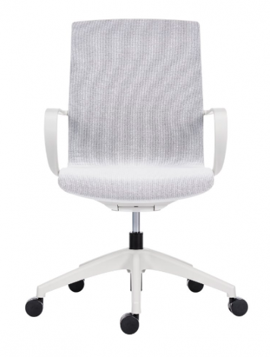 Kancelářská ergonomická židle Antares VISION —  s područkami, více barev - Barevné provedení židle VISION: Šedá