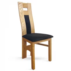 Jídelní židle TOSCA – masiv dub, více barev, nosnost 140 kg