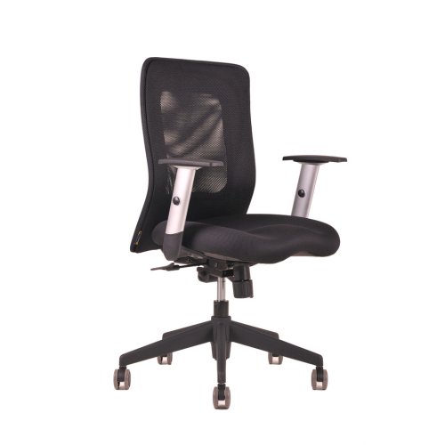 Kancelářská židle na kolečkách Office Pro CALYPSO - s područkami - Čalounění Calypso: Černá 1111