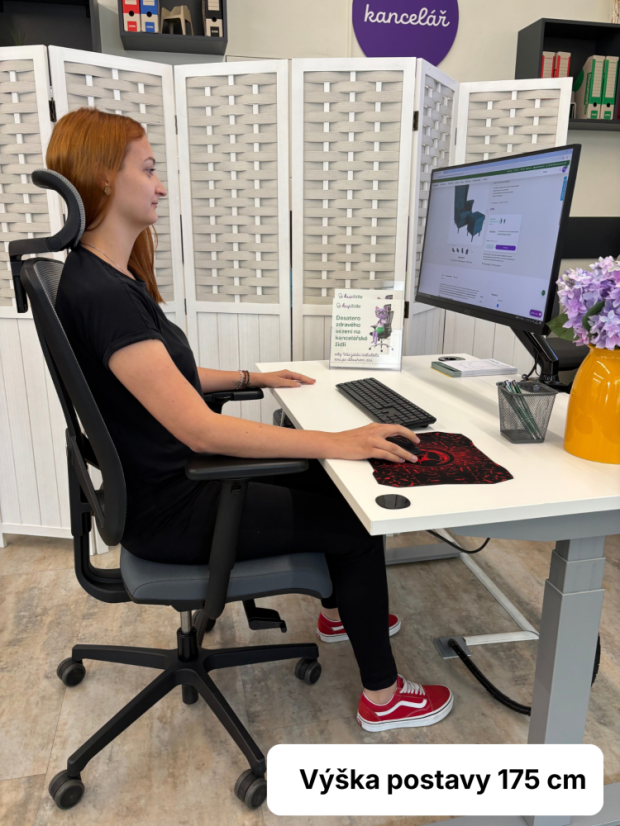 Kancelárska stolička na kolieskach RIM FLEXI FX 1104.087.022  – s podrúčkami a podhlavníkom, sivá