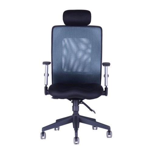 Kancelářská židle na kolečkách Office Pro CALYPSO XL SP4 – s područkami a podhlavníkem - Čalounění Calypso: Modrá 14A11