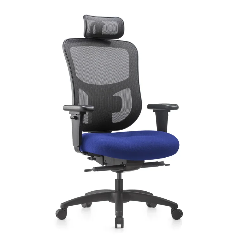 Kancelárska ergonomická stolička NATUS Q24 - sieťovina, nosnosť 180 kg, 3-ročná záruka, viac farieb - Barevné provedení NATUS Q24: modrá
