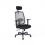 Kancelářská ergonomická židle Office Pro CANTO — více barev - Barevné varianty CANTO: Modrá