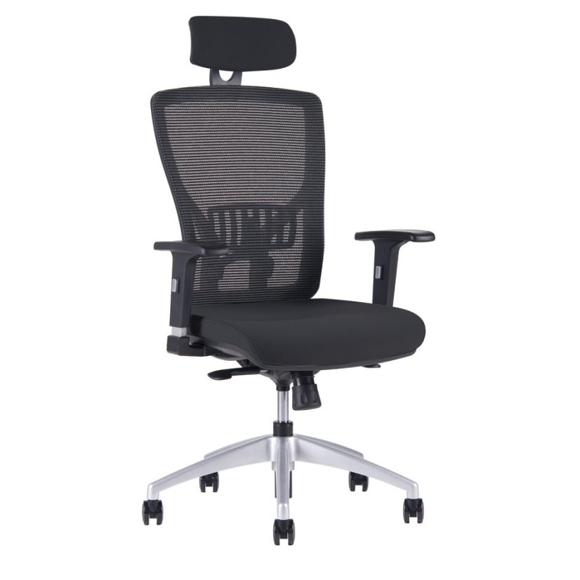 Kancelárska ergonomická stolička HALIA MESH SP – s podhlavníkom, viac farieb - Čalúnenie Halia: Čierna  2628