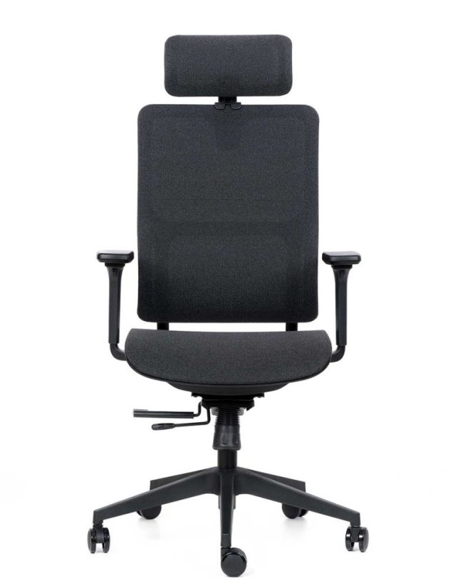 Kancelárske ergonomické kreslo Sego RUBIQ — viac farieb - Barevné provedení Sego RUBIQ: čierna