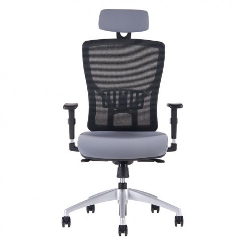 Kancelářská ergonomická židle Office Pro HALIA MESH SP – s podhlavníkem, více barev - Čalounění Halia: Modrá 2621