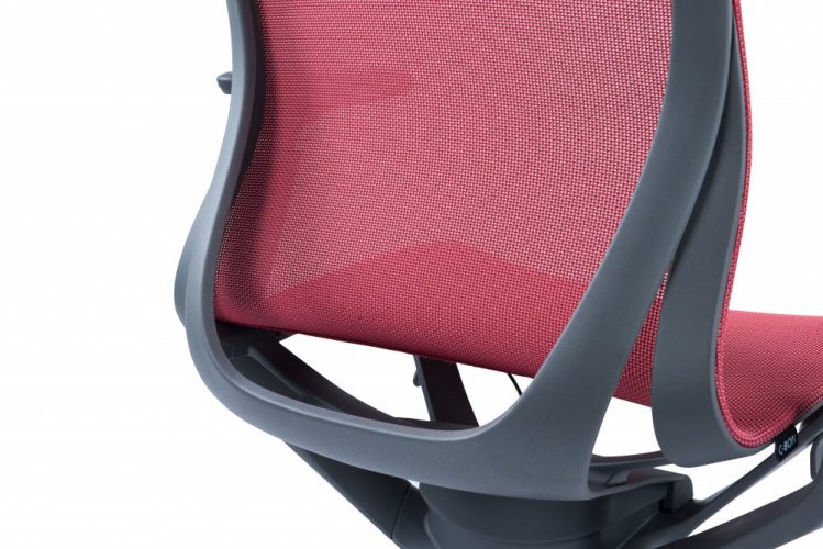 Kancelářská židle OFFICE More C-BON — více barev - Barevné varianty C-BON: Světlá / modrá