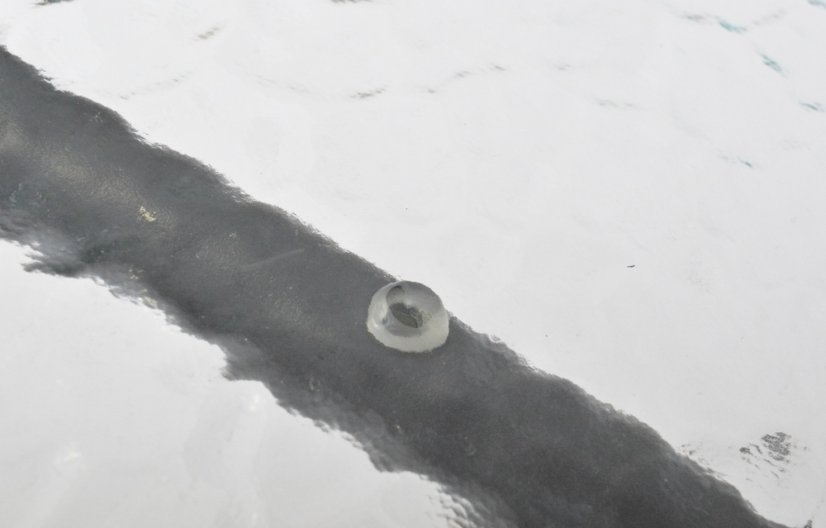 Zahradní stůl ZWMT 80x80 cm kovový se skleněnou deskou