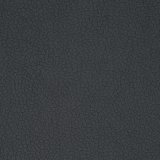 carabu grigio 110
