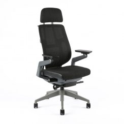 Kancelárska ergonomická stolička Office Pro KARME MESH — viac farieb