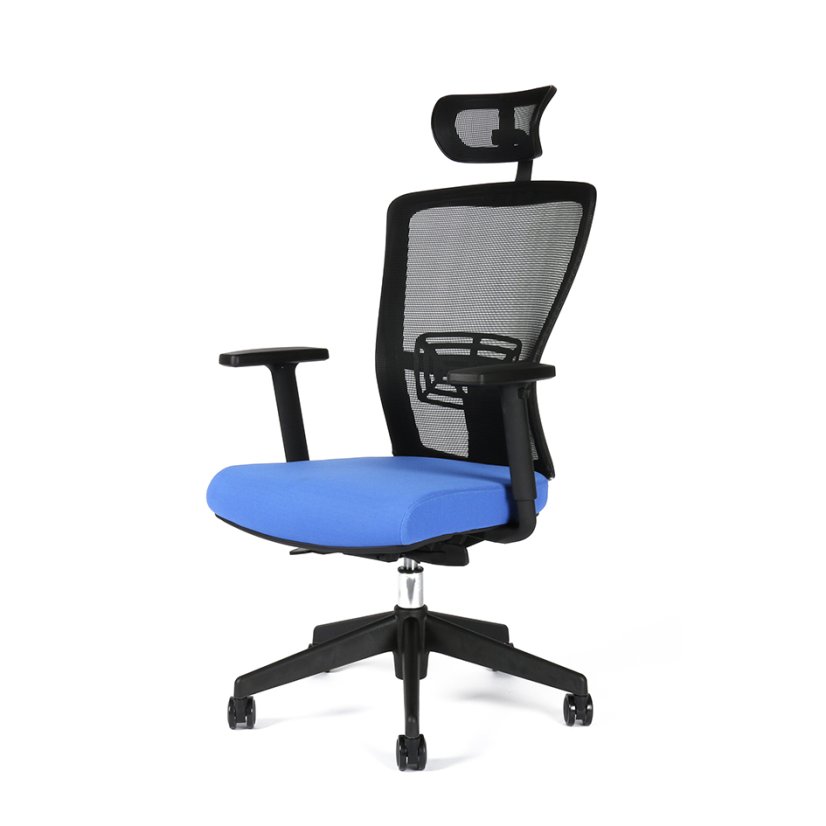 Kancelárska ergonomická stolička Themis SP - s podrúčkami aj podhlavníkom, viac farieb