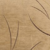tristan camel 18