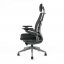 Kancelářská ergonomická židle Office Pro KARME MESH —  více barev - Čalounění KARME MESH: Zelená žíhaná