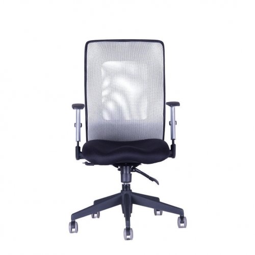 Kancelářská židle na kolečkách Office Pro CALYPSO GRAND BP – s područkami - Čalounění Calypso: Modrá 14A11