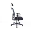 Kancelárska ergonomická stolička CANTO — viac farieb - Barevné varianty CANTO: Sivá