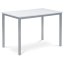 Jídelní stůl TOMSO – 110x70 cm, MDF bílá / šedý lak Autronic