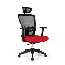Kancelářská ergonomická židle Themis SP - s područkami i podhlavníkem, více barev