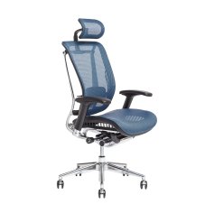 Kancelářská ergonomická židle LACERTA — více barev, nosnost 150 kg