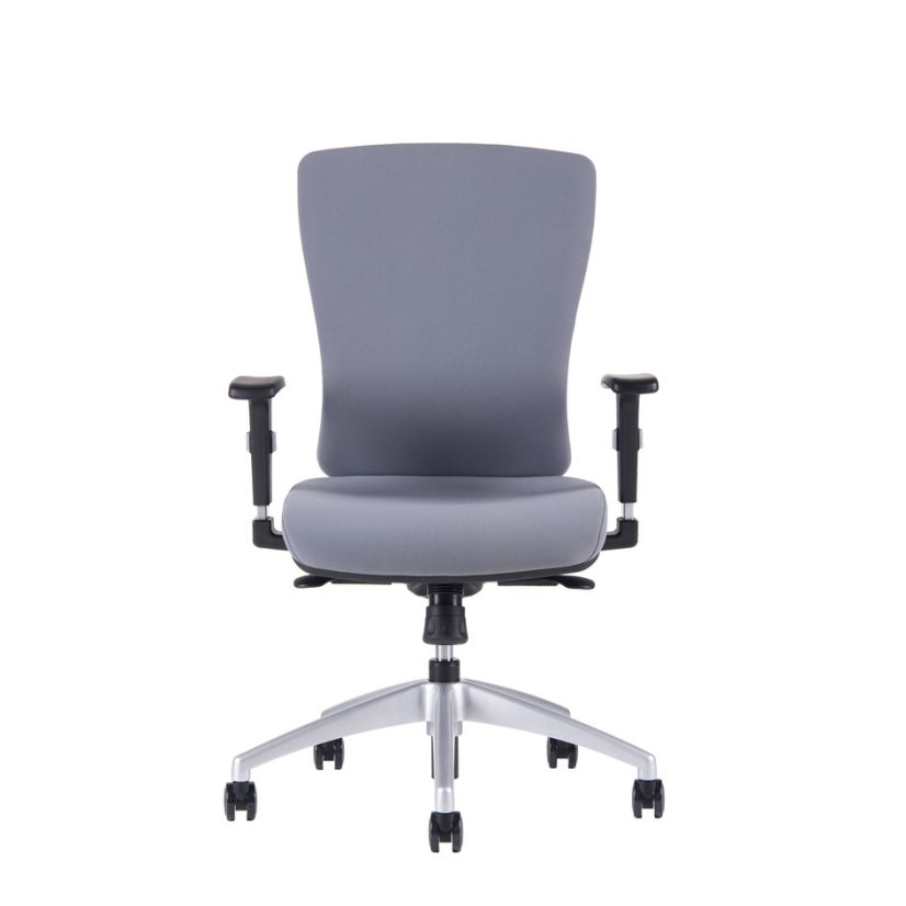 Kancelářská ergonomická židle HALIA BP – bez podhlavníku, více barev