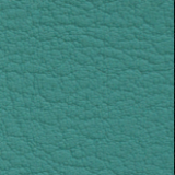 Pacific 18