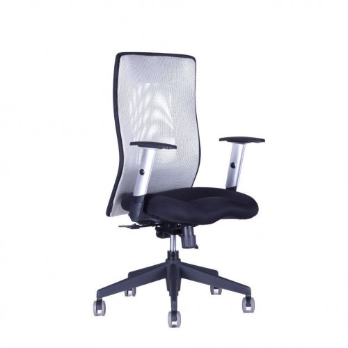Kancelářská židle na kolečkách Office Pro CALYPSO GRAND BP – s područkami