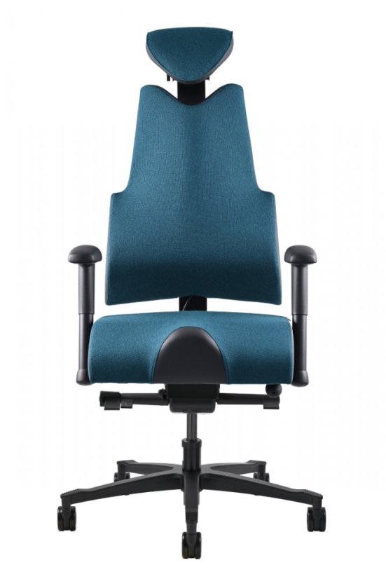 Zdravotní židle THERAPIA BODY+ LR N (185 - 195 cm) –⁠ na míru, více barev