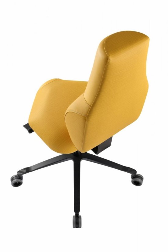 Zdravotní židle THERAPIA STANDI standardní –⁠ na míru, eko kůže, více barev