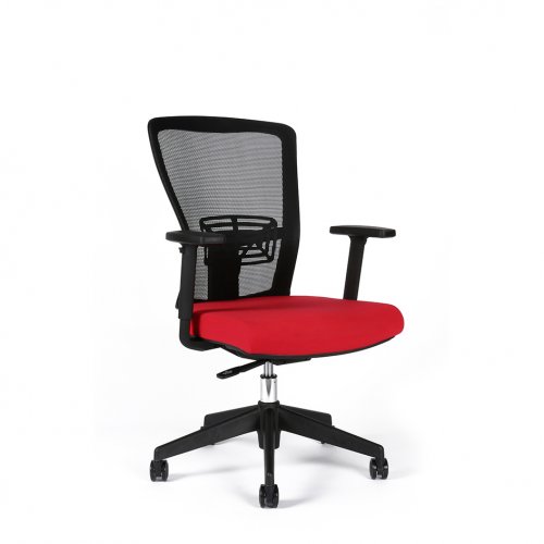 Kancelářská ergonomická židle Office Pro Themis BP - s područkami a bez podhlavníku, více barev - Barva sedáku Themis: Černá TD-01