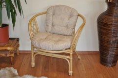 Zahradní křeslo ANTIGUA — ratan, medová / více barev