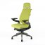 Kancelářská ergonomická židle Office Pro KARME — více barev, s podhlavníkem a područkami - Čalounění KARME: Zelená F01