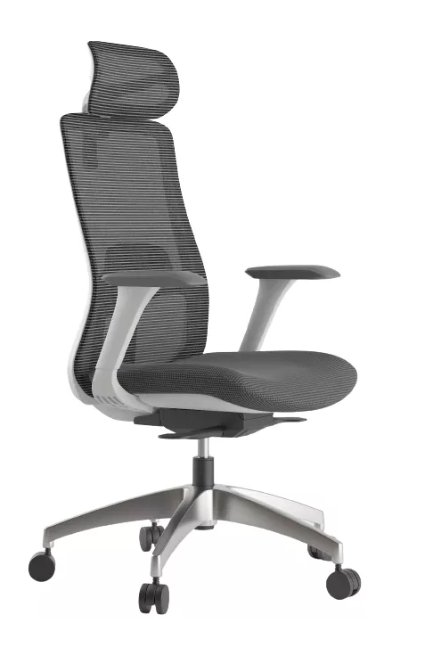 Ergonomická kancelárska stolička WISDOM s opierkou hlavy — sieťovina, sivý plast, nosnosť 120 kg, svetlo sivá Mercury star