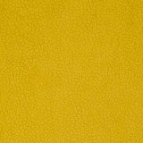 carabu giallo 131