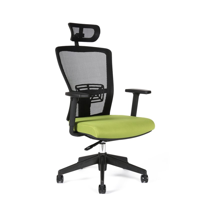 Kancelárska ergonomická stolička Themis SP - s podrúčkami aj podhlavníkom, viac farieb