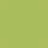 polypropylen verde anice