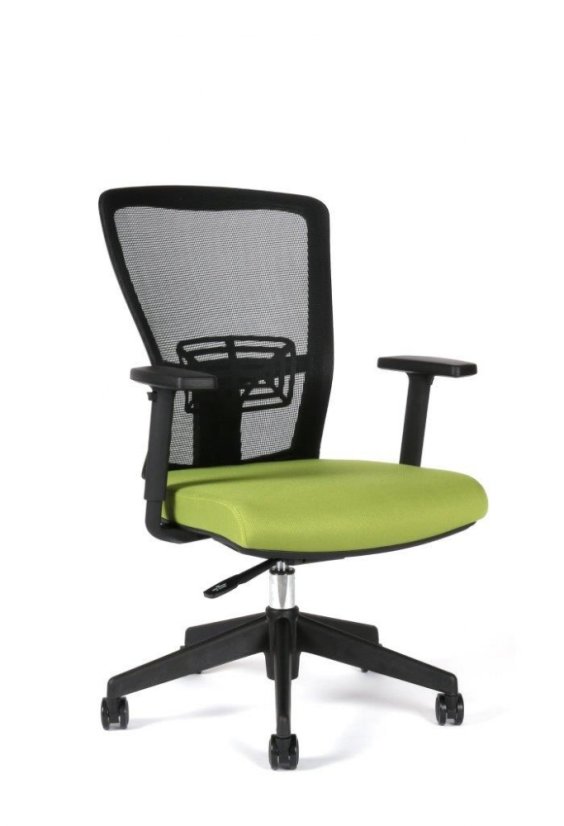 Kancelárska ergonomická stolička Themis BP - s podrúčkami a bez podhlavníka, viac farieb