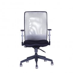 Kancelárska stolička na kolieskach Office Pro CALYPSO GRAND BP – s podrúčkami