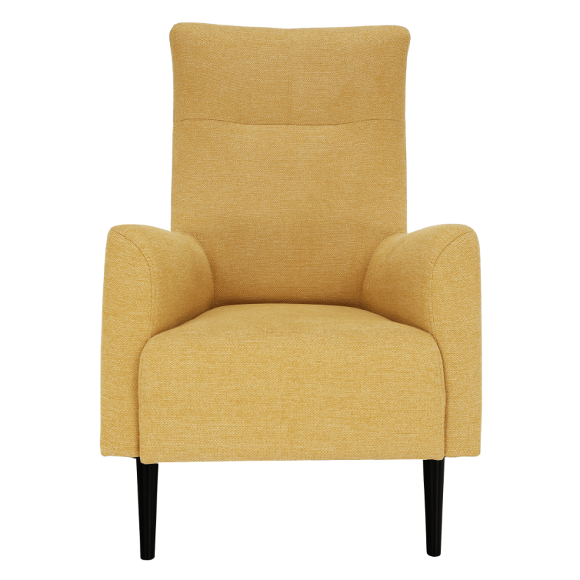 Křeslo ušák SAMY — masiv, látka, více barev