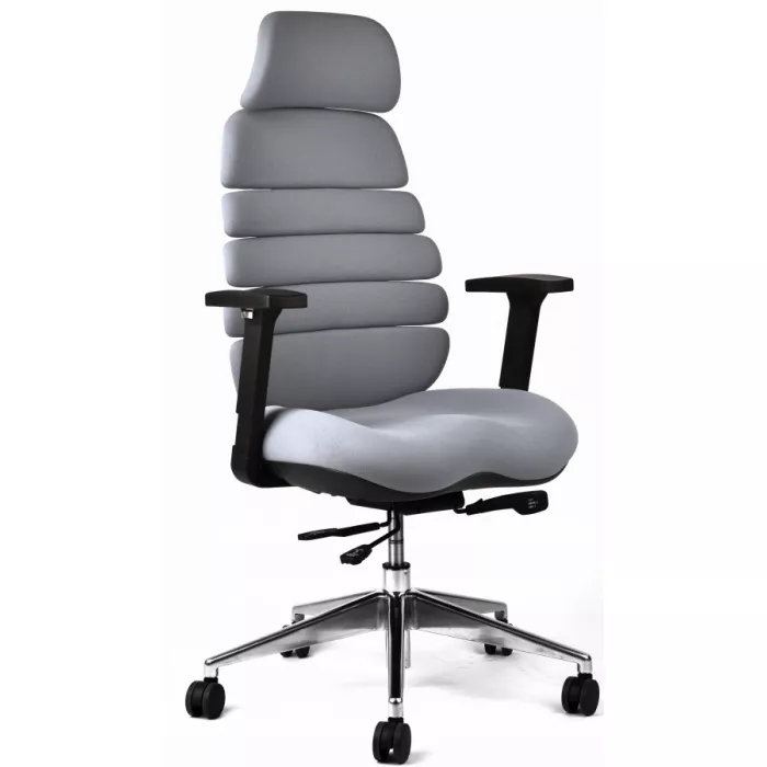 Kancelárska ergonomická stolička SPINE s podhlavníkom — látka, nosnosť 130 kg, viac farieb - Farebné varianty stoličky SPINE: Modrá