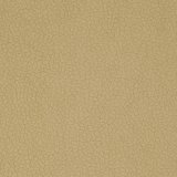 carabu beige 66