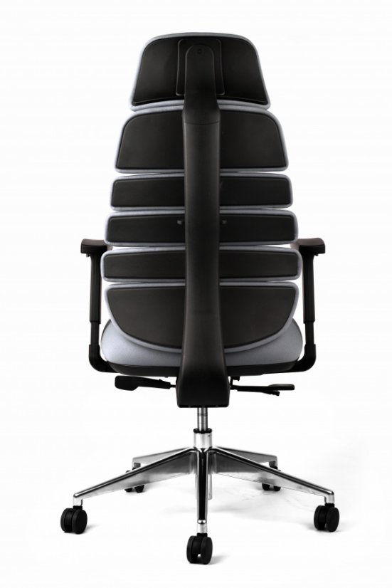Kancelárska ergonomická stolička SPINE s podhlavníkom — látka, nosnosť 130 kg, viac farieb - Farebné varianty stoličky SPINE: Modrá