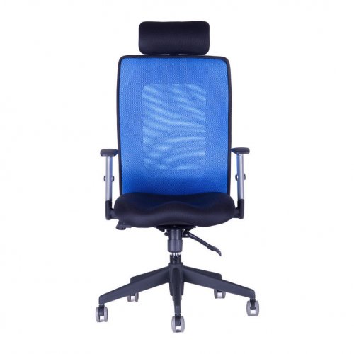 Kancelářská židle na kolečkách Office Pro CALYPSO GRAND SP1 – s područkami - Čalounění Calypso: Světle šedá 12A11
