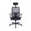 Kancelárska ergonomická stolička CANTO — viac farieb - Barevné varianty CANTO: Sivá