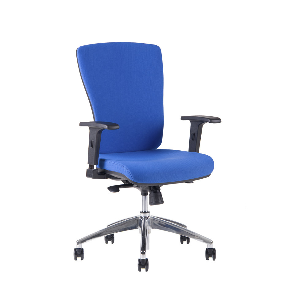 Kancelářská ergonomická židle Office Pro HALIA CHR BP – bez podhlavníku, více barev Modrá 2621