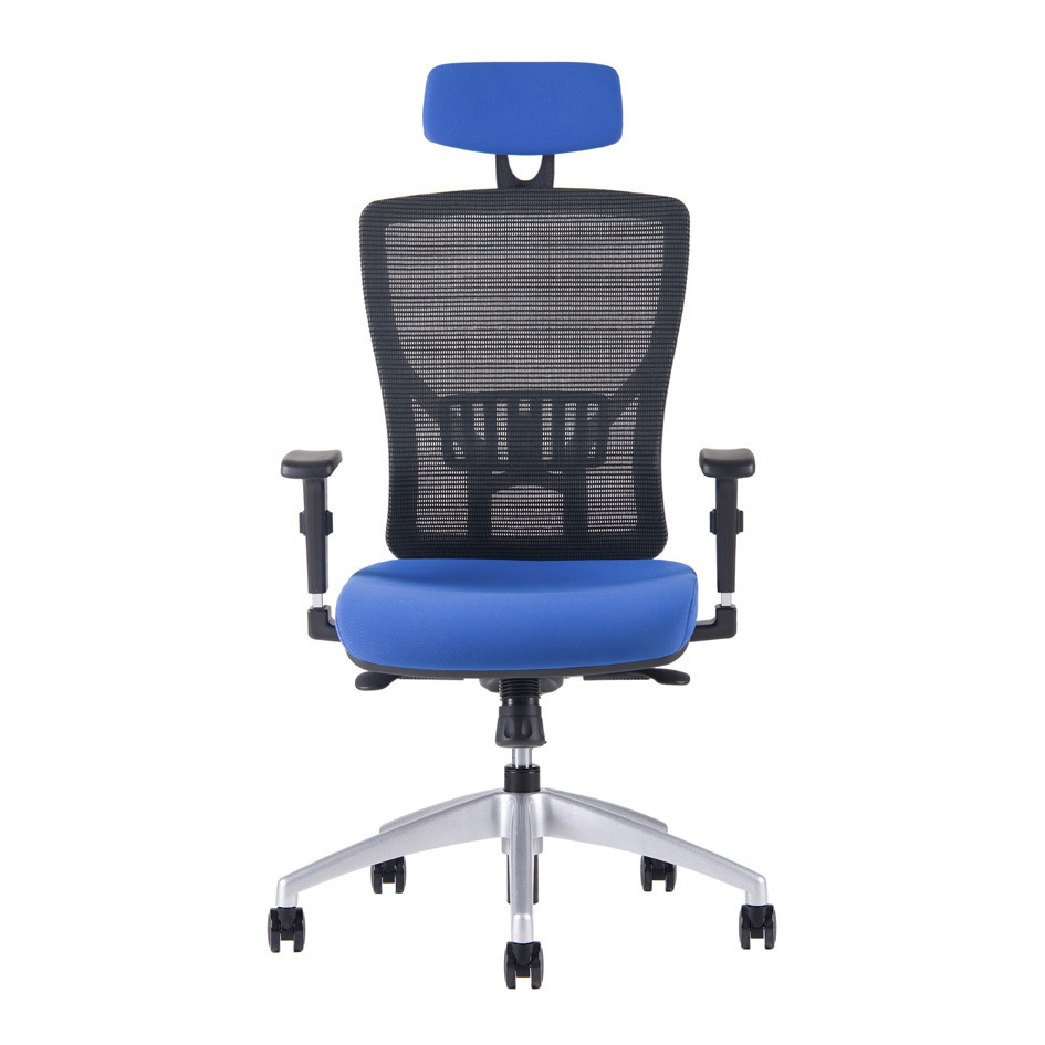 Kancelářská ergonomická židle HALIA MESH SP – s podhlavníkem, více barev Černá 2628