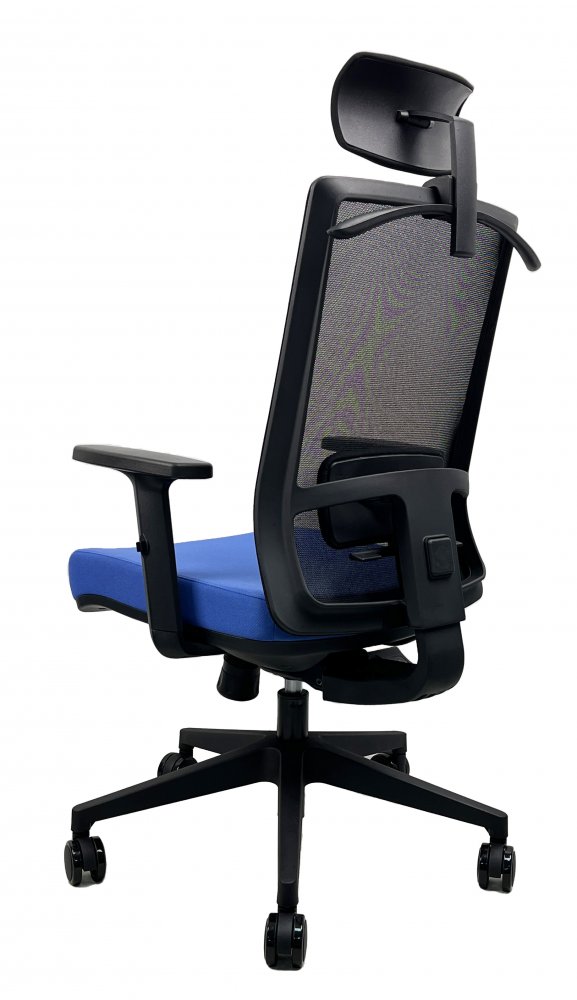 Kancelářská ergonomická židle DVIS — více barev Černá (obrázek 20)