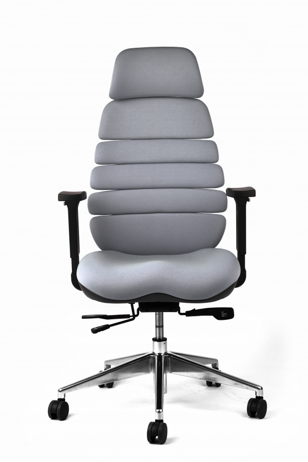 Kancelářská ergonomická židle SPINE s podhlavníkem — látka, nosnost 130 kg, více barev Šedá (obrázek 11)